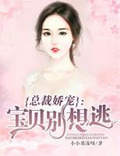 宝贝别想逃txt